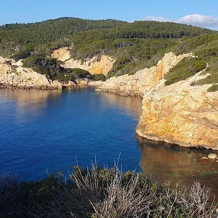 Antilles Yourhosthelper Daire La Ciotat