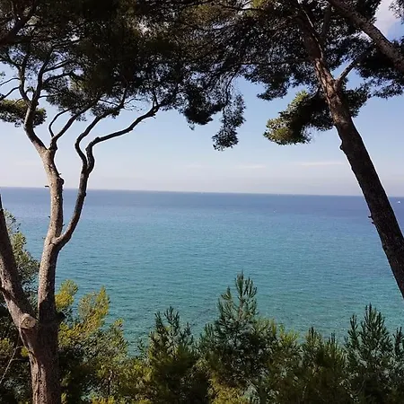 Daire Antilles Yourhosthelper La Ciotat